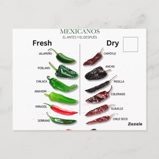 Kinderen, vers en droog Thunder_Cove Briefkaart (Achterkant)