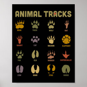 Kinderen Wilde Dieren Sporen Kinderen Leren Poster