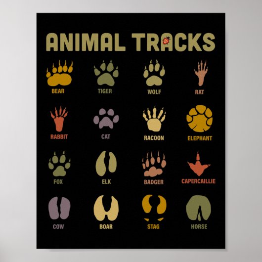 Kinderen Wilde Dieren Sporen Kinderen Leren Poster (Voorkant)