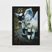 KINDEREN ZIJN VERBAASD DAT JE **55** KAART DRAAIT (Voorkant)