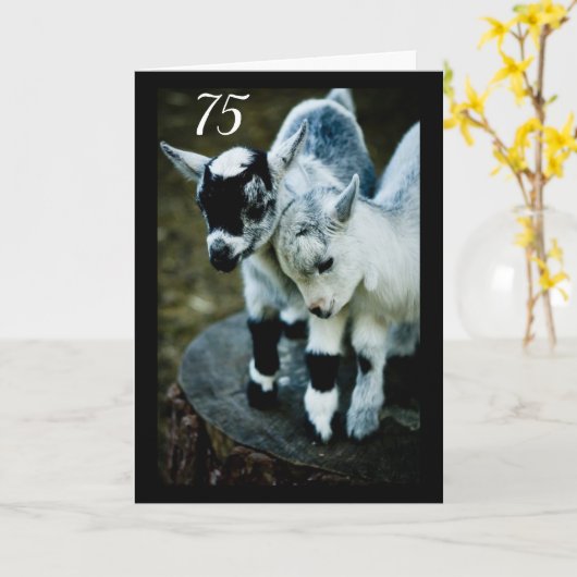 KINDEREN ZIJN VERBAASD DAT JE **75** KAART DRAAIT (Gele Bloem)