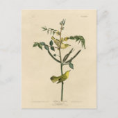 Kinderklooster van de Amerikaanse vogels van Audub Briefkaart (Voorkant)