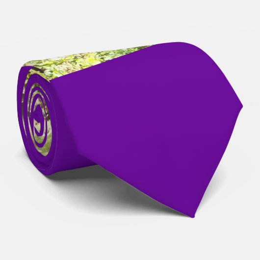 Kindermuzikanten Stropdas (Opgerold)