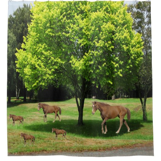 Kinderpaarden douchegordijn (Voorkant)