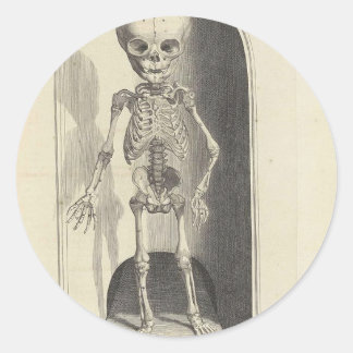 Kinderskelet Ronde Sticker