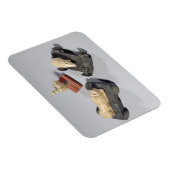 Kinderspeelgoed: egel, leeuw en duif, Su Magneet (Rechterzijde)