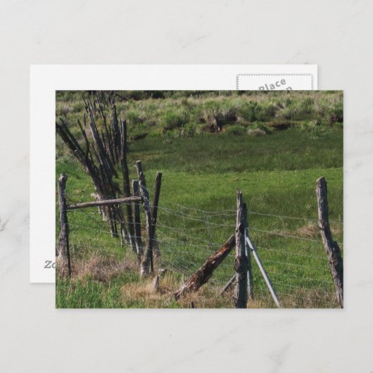 Kindertijd I Briefkaart (Voorkant / Achterkant)