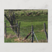 Kindertijd I Briefkaart (Voorkant)