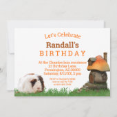 Kinderverjaardagsfeestje cavia paddenstoel huis kaart (Achterkant)