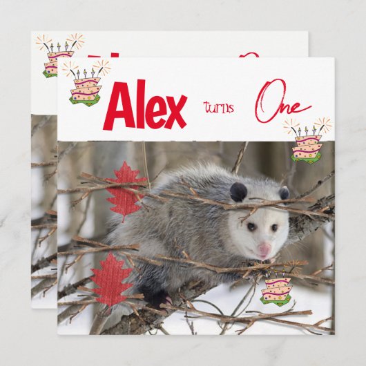 Kinderverjaardagsuitnodiging Possum Natuur Kaart (Voorkant / Achterkant)