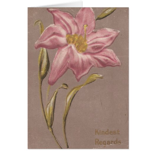 Kindest Regards (Voorkant)