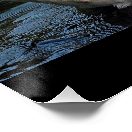 Kindheid Perfect Poster (Hoek)