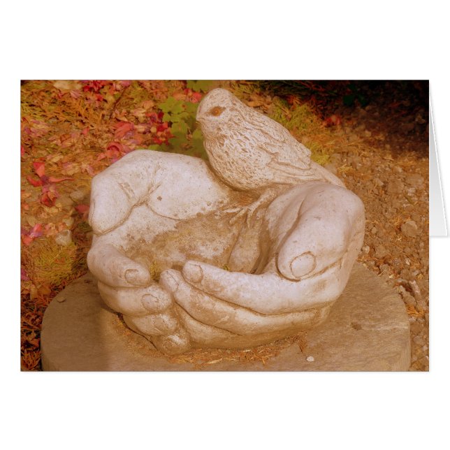 Kindheid voor iedereen (Voorkant Horizontaal)