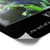 Kindness Baby Bird Inspirerend Quote Poster (Hoek)