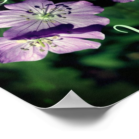 Kindness Geranium Flowers Abstract Inspirerend Poster (Hoek)