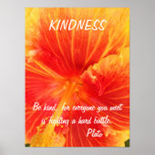 Kindness Inspirerend Poster Quote Plato Hibiscus (Voorkant)
