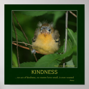 Kindness Inspirerend Quote Baby Oriole Poster