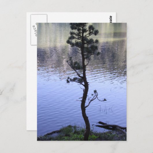 Kindness Matters Briefkaart (Voorkant / Achterkant)