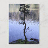 Kindness Matters Briefkaart (Voorkant)