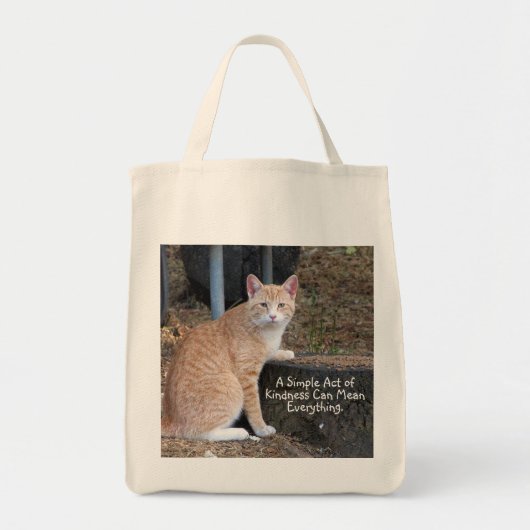 Kindness Oranje Tabby Cat Canvas tas (Voorkant)