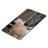 Kindness Oranje Tabby Cat Magnet Magneet (Linkerzijde)