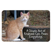 Kindness Oranje Tabby Cat Magnet Magneet (Horizontaal)