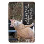 Kindness Oranje Tabby Cat Magnet Magneet (Verticaal)