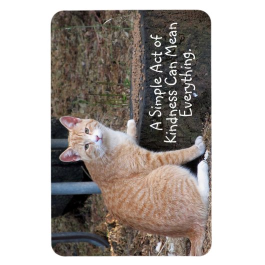 Kindness Oranje Tabby Cat Magnet Magneet (Verticaal)