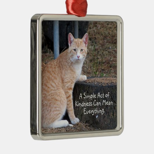 Kindness Oranje Tabby Cat Ornament (Rechts)