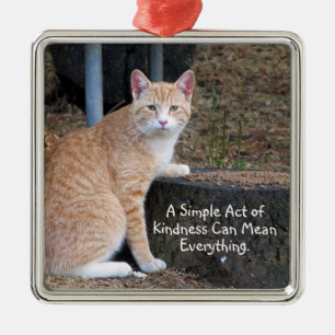 Kindness Oranje Tabby Cat Ornament