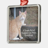 Kindness Oranje Tabby Cat Ornament (Links)