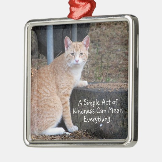 Kindness Oranje Tabby Cat Ornament (Links)