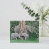 Kindrode gedistilleerde dranken (2) briefkaart (Staand voorkant)