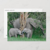 Kindrode gedistilleerde dranken (2) briefkaart (Voorkant / Achterkant)