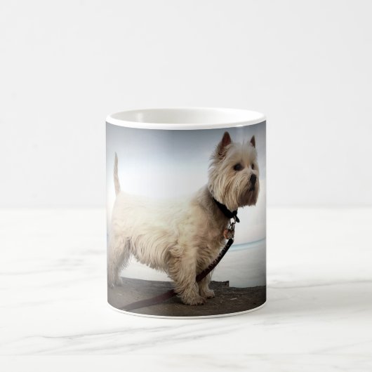 King Barko Koffiemok (Center)