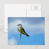 King Bird Briefkaart (Voorkant / Achterkant)