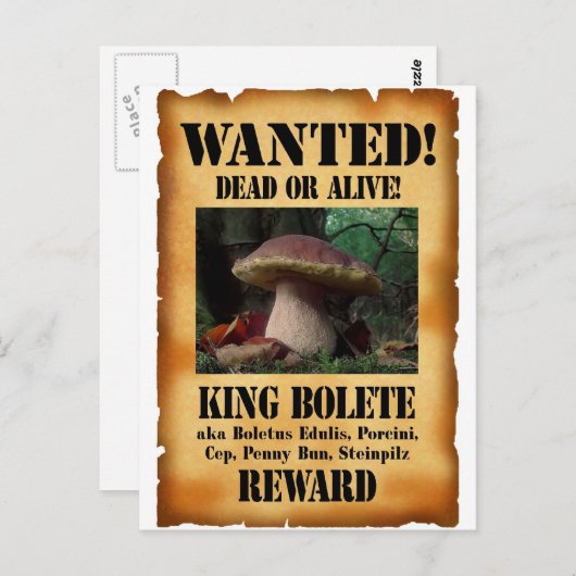 King Bolete - Gezochte Dood of Alive Briefkaart (Voorkant / Achterkant)