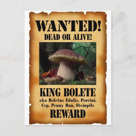 King Bolete - Gezochte Dood of Alive Briefkaart (Voorkant)