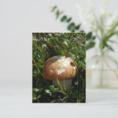 King Boletus Mushroom, Unalaska Island Briefkaart (Staand voorkant)