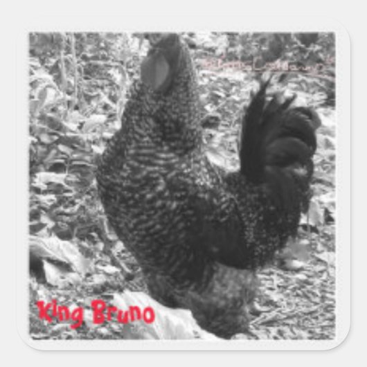 King Bruno sticker (Voorkant)