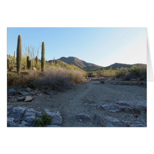 King Canyon Trail I (Voorkant Horizontaal)