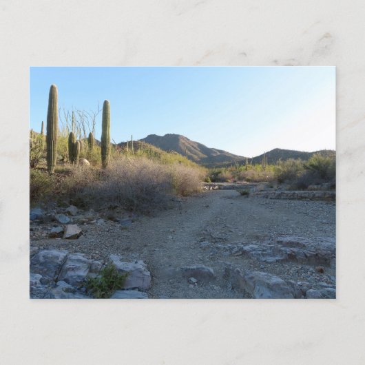 King Canyon Trail I Briefkaart (Voorkant)