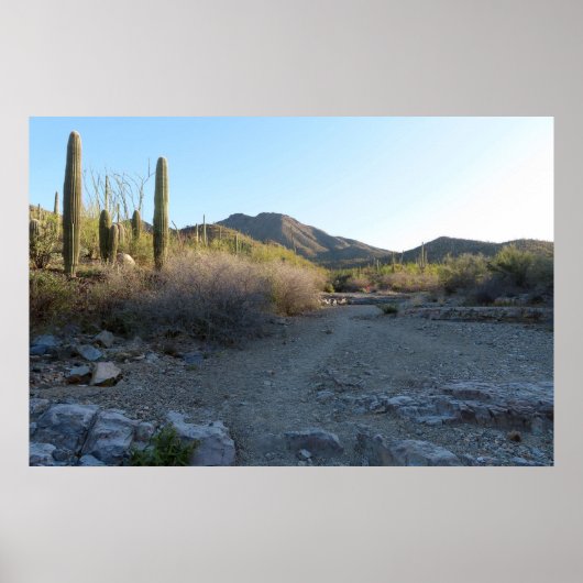King Canyon Trail I Poster (Voorkant)