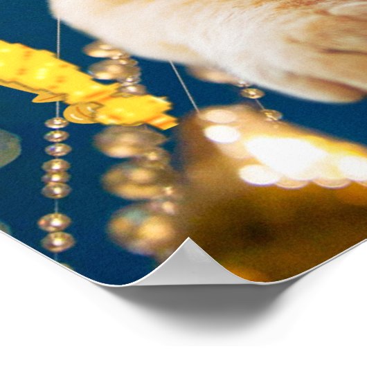 King Cat Funny Poster Huisdieren & Dierenverzorger (Hoek)