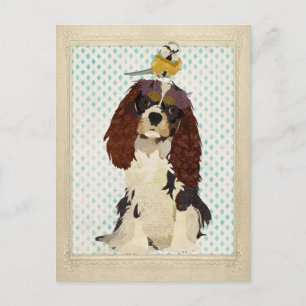King Cavalier & Little Bird Briefkaart