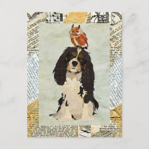King Cavalier & Owl Briefkaart