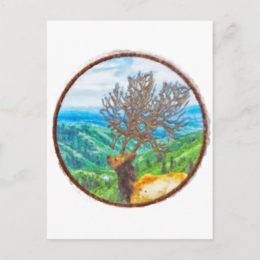 King Cervus Briefkaart (Voorkant)