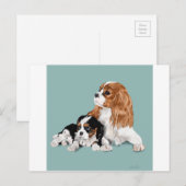 King Charles Briefkaart (Voorkant / Achterkant)