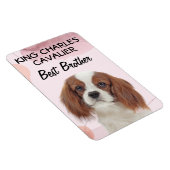 King Charles Cavalier Best Brother Magneet (Rechterzijde)
