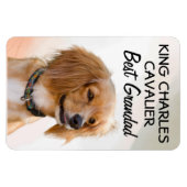 King Charles Cavalier Best Grandad Magnet Magneet (Horizontaal)